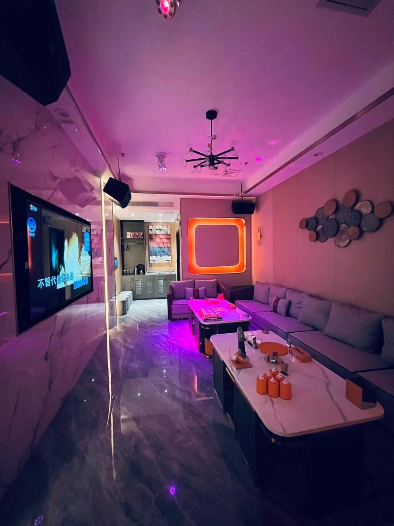 鹤岗商务KTV优惠体验-兴山区ktv预订